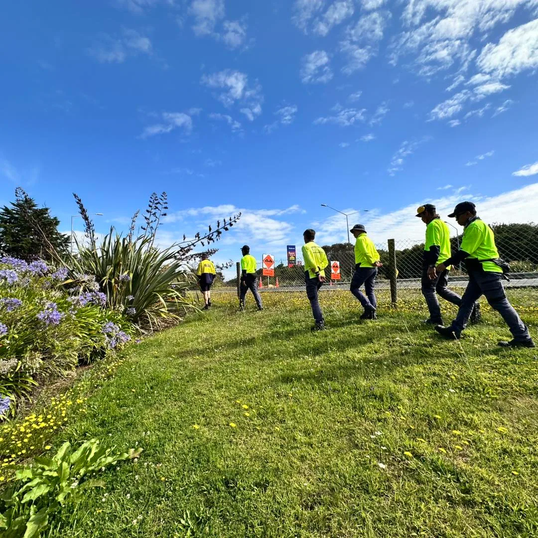 Retail entrance grounds maintained by Holland Landscaping in Auckland
