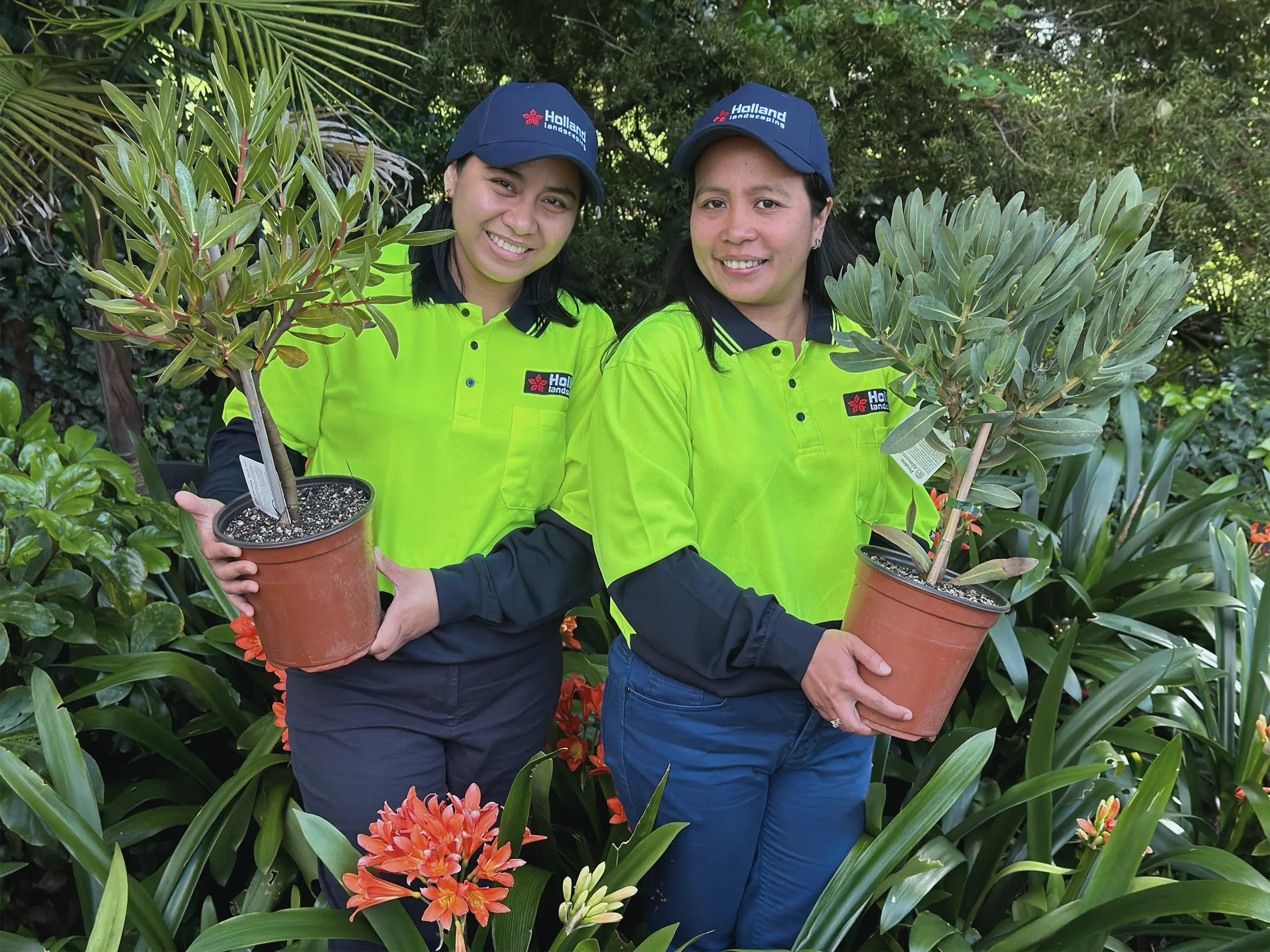 Holland Landscaping crew members with planting stock ready for installation