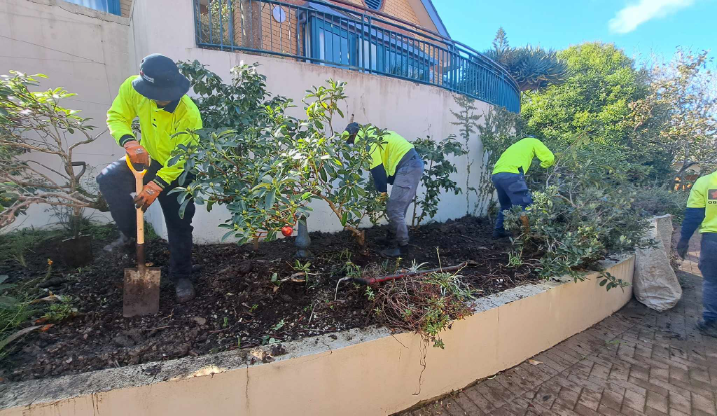 Holland Landscaping grounds maintenance at an Auckland medical centre
