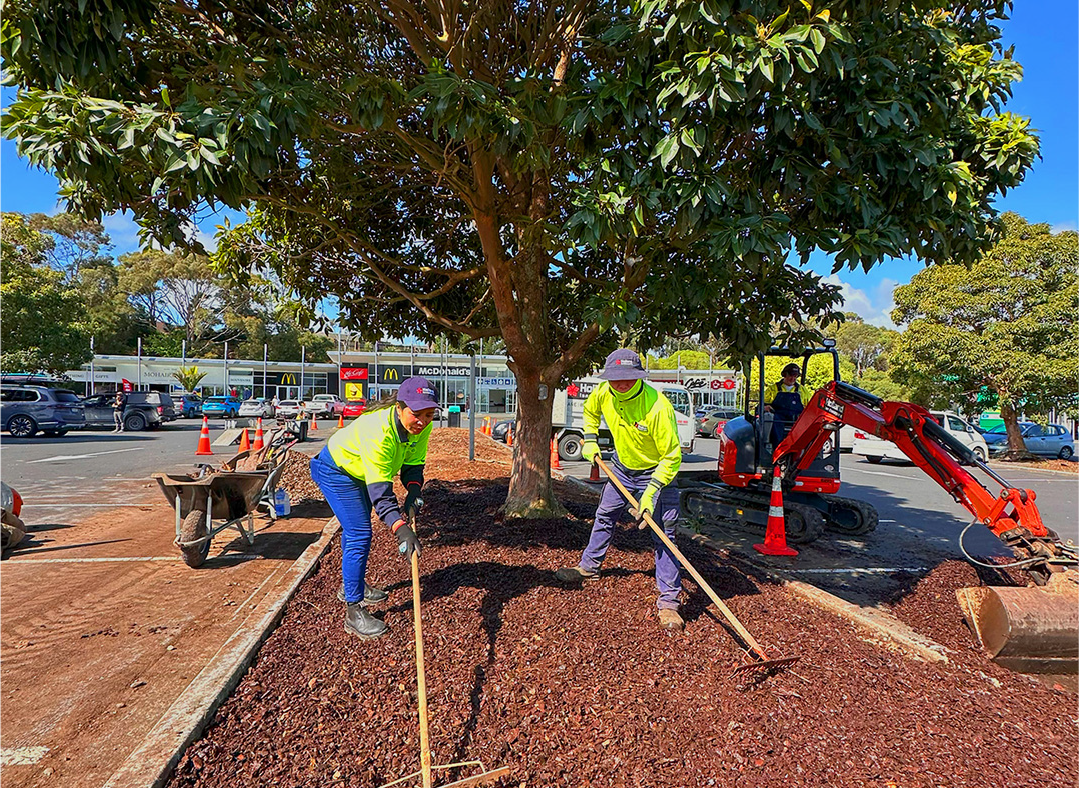 Holland Landscaping Auckland crew working, photo 1