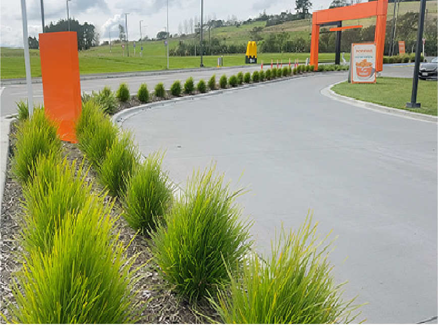 Driveway planting at an Auckland quick-service retail forecourt maintained by Holland Landscaping