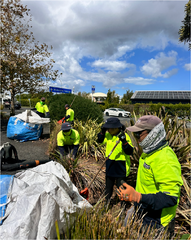 Autumn leaf clean-up at a commercial Auckland property by Holland Landscaping