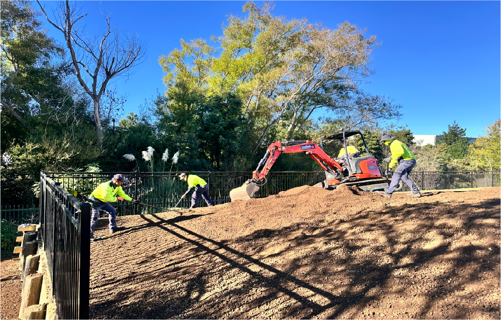 Bert operates a red excavator while the Holland landscaping crew levels the soil.