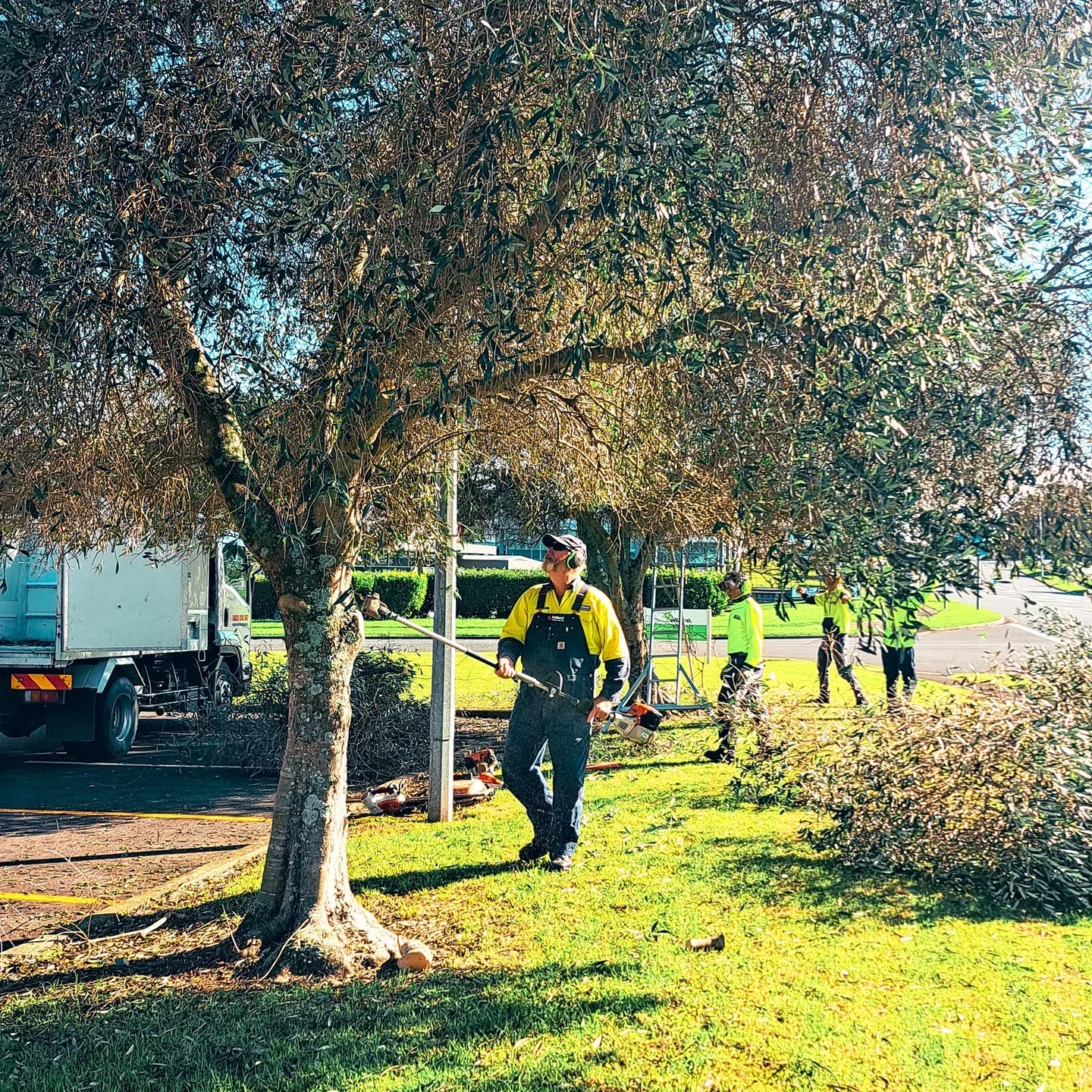Maintained healthcare grounds at Highbrook Medical in Auckland by Holland Landscaping