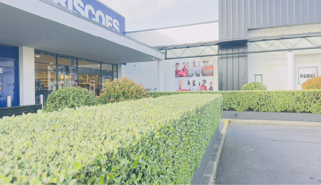 Formal, neatly clipped commercial hedges maintained by Holland Landscaping in Auckland.