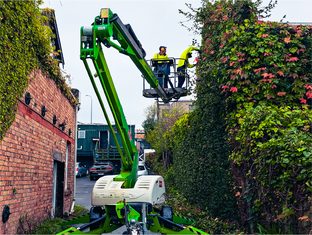 Lifestyle and mixed-use precinct landscaping in Auckland by Holland Landscaping