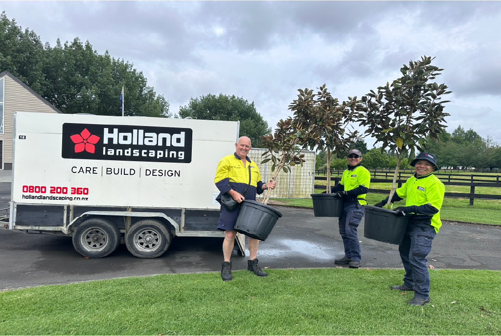 Holland Landscaping crew planting on a commercial Auckland site