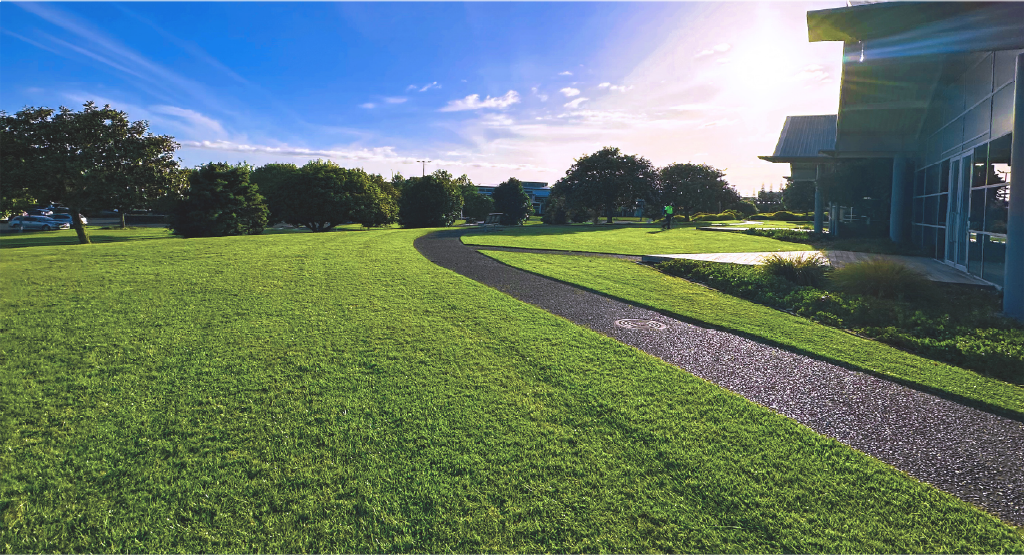 Freshly maintained lawns at an Auckland healthcare site.