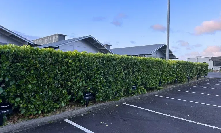 Highbrook Medical site photograph 5