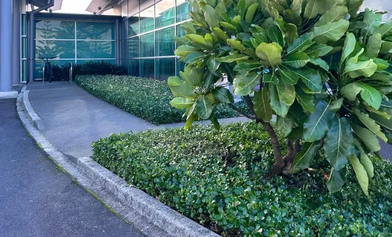 Highbrook Medical site photograph 9