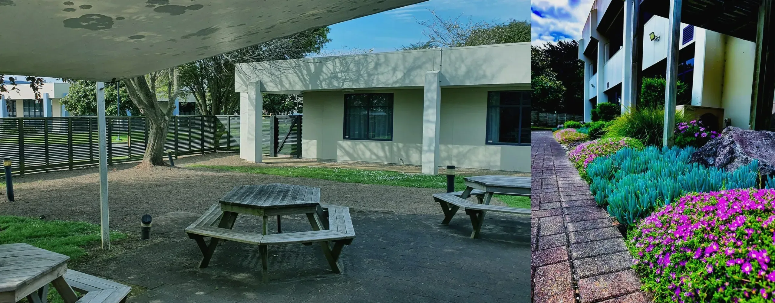 Lambie Drive commercial landscaping site in Auckland by Holland Landscaping