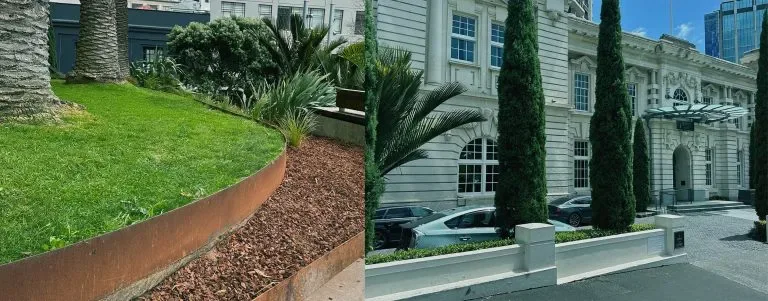 Metropolis commercial landscaping site in Auckland by Holland Landscaping