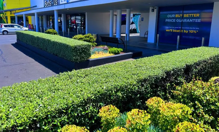 Manukau Supa Centa site photograph 8