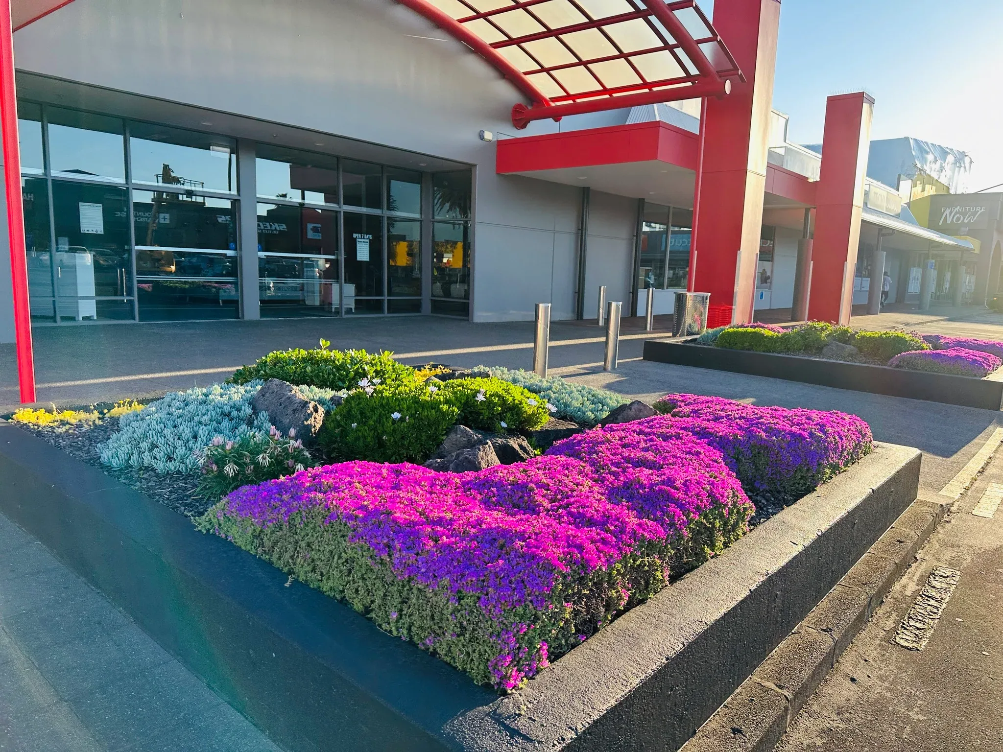 Retail centre entrance planting maintained by Holland Landscaping in Auckland