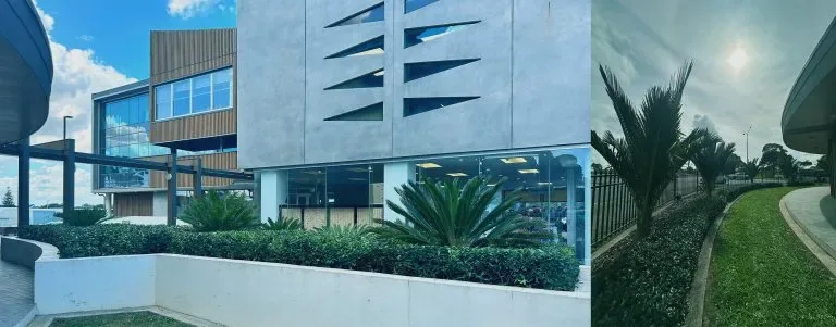 Consulate of Samoa commercial landscaping site in Auckland by Holland Landscaping