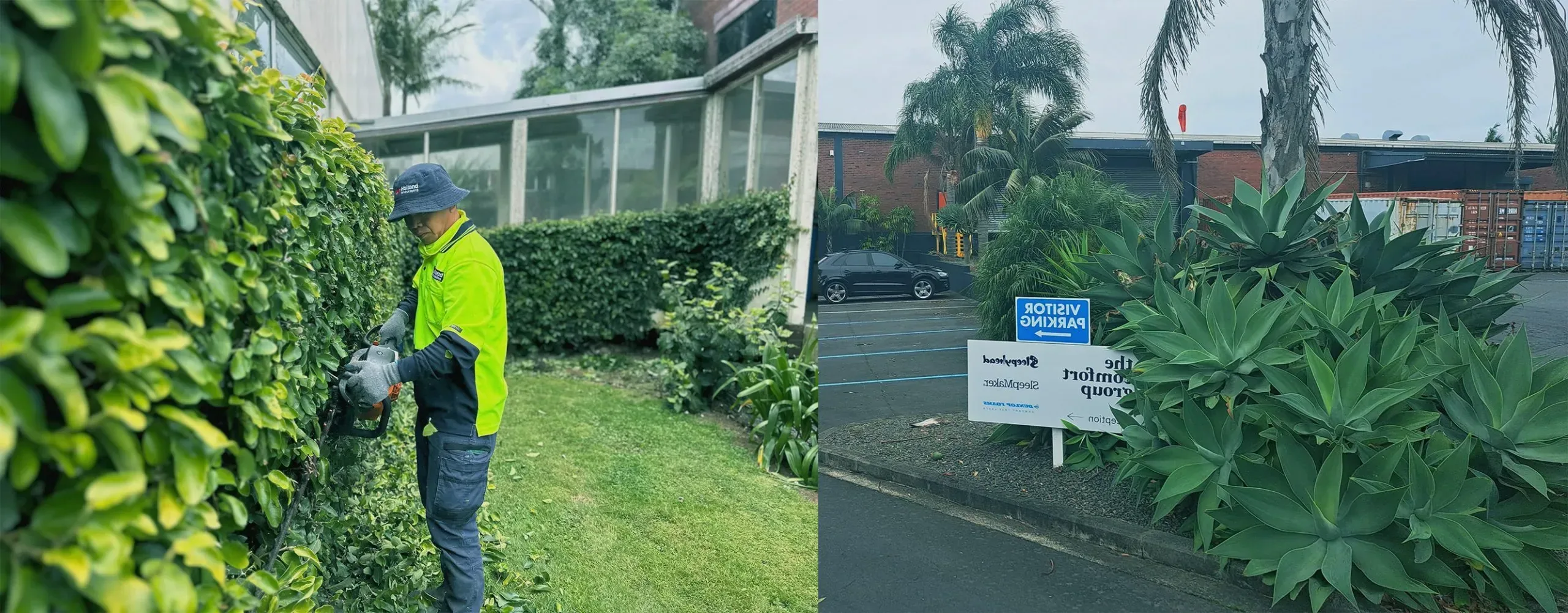 Sleepyhead commercial landscaping site in Auckland by Holland Landscaping