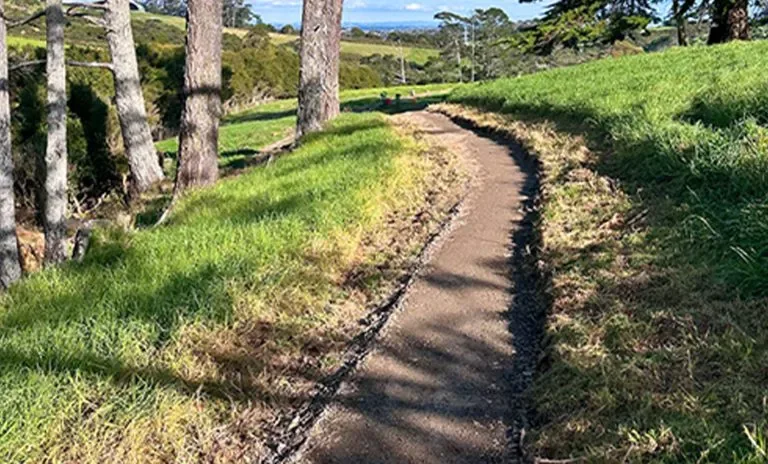 Totara Park Bike Track Rehabilitation site photograph 9