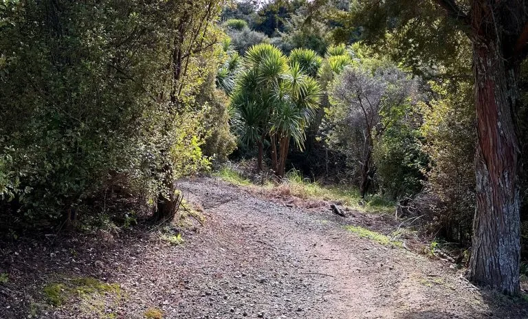 Totara Park Bike Track, Holland Landscaping project in Auckland