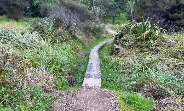 Totara Park Bike Track Rehabilitation site photograph 4