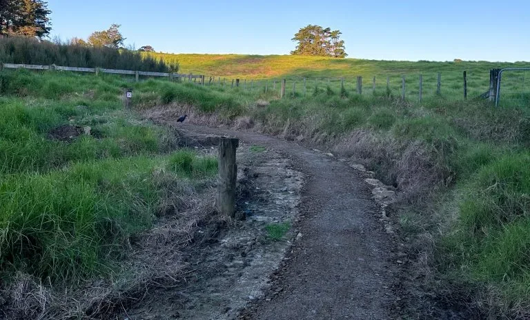 Totara Park Bike Track Rehabilitation site photograph 5