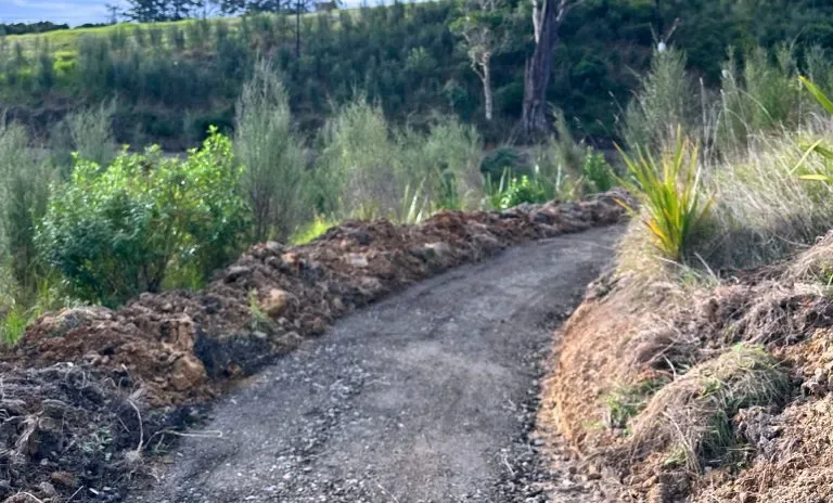 Totara Park Bike Track Rehabilitation site photograph 6