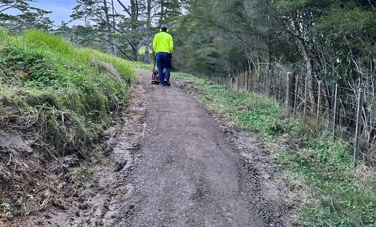 Totara Park Bike Track Rehabilitation site photograph 7