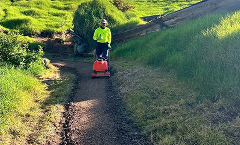 Totara Park Bike Track Rehabilitation site photograph 8