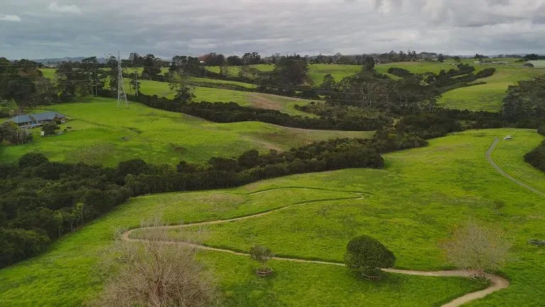Totara Park Bike Track Rehabilitation site photograph 11