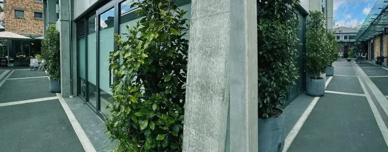 Victoria Park Market commercial landscaping site in Auckland by Holland Landscaping