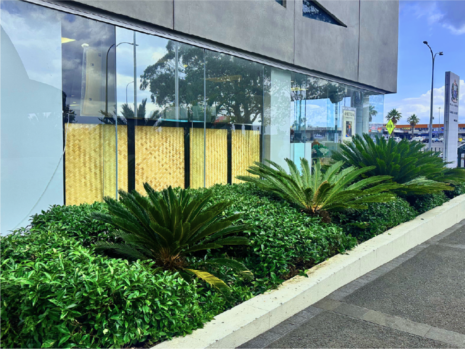 Retail entrance grounds maintained by Holland Landscaping in Auckland