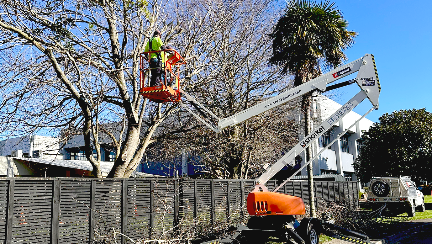 Holland Landscaping crew on an Auckland school campus