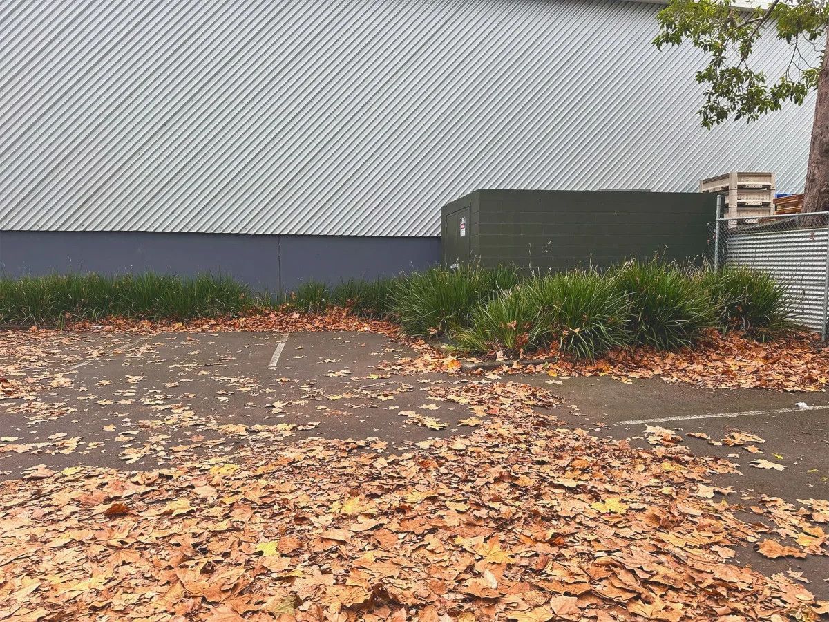 Autumn leaf clean-up at a commercial Auckland property by Holland Landscaping
