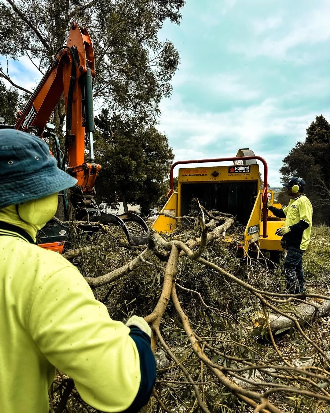 Storm response and fallen tree clearance on an Auckland property