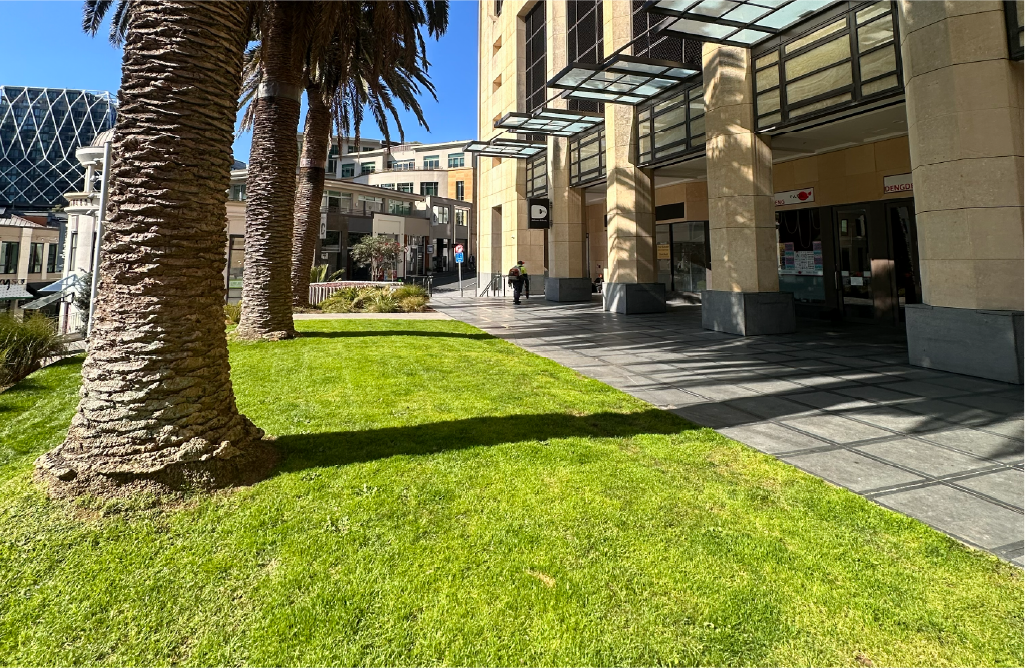 Holland Landscaping matained facades at an Auckland conference and event venue