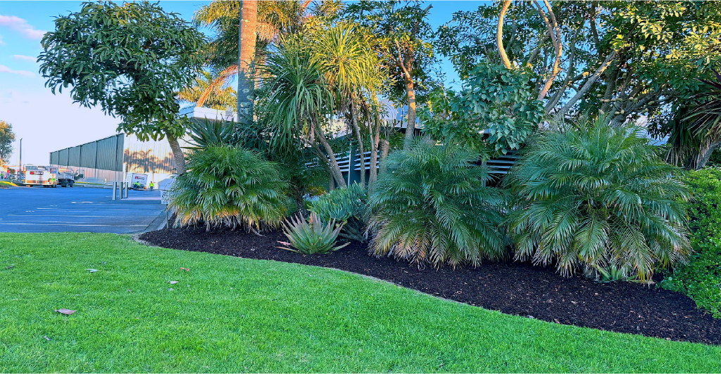 Vitaco, a Holland Landscaping commercial project in Auckland