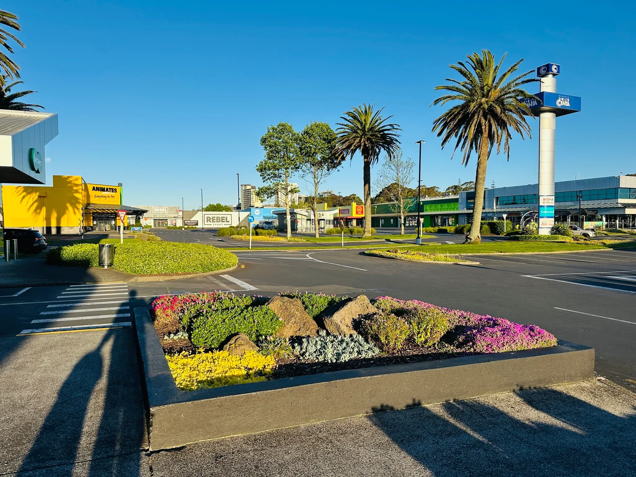 Carpark planting at an Auckland quick-service retail forecourt maintained by Holland Landscaping