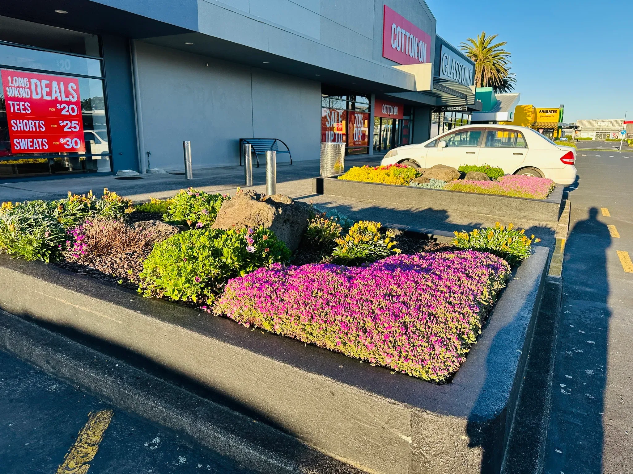 Lifestyle and mixed-use precinct landscaping in Auckland by Holland Landscaping
