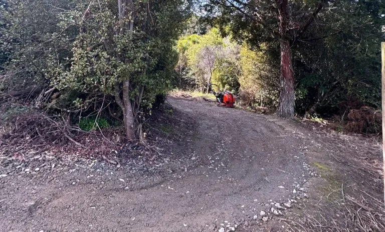 Totara Park Bike Track Rehabilitation site photograph 3